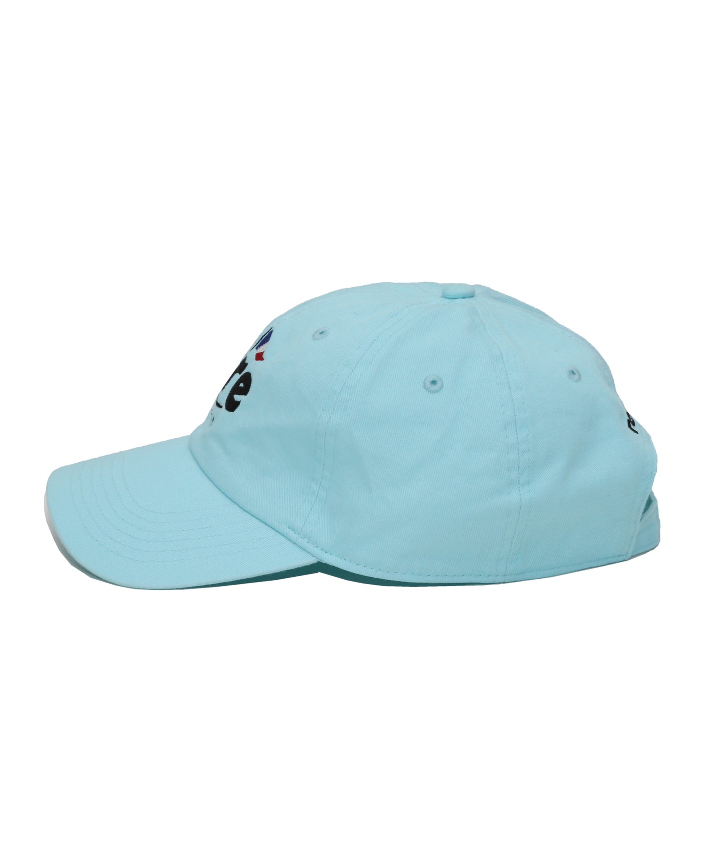 COLLAB CAP(with PGC)