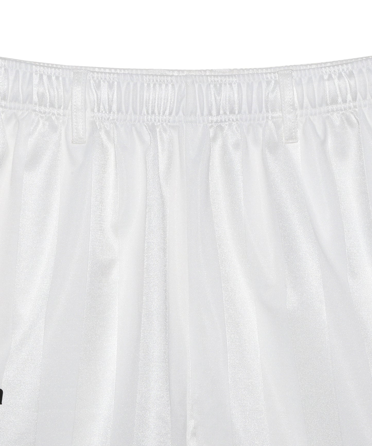 SHADOW STRIPE SHORTS